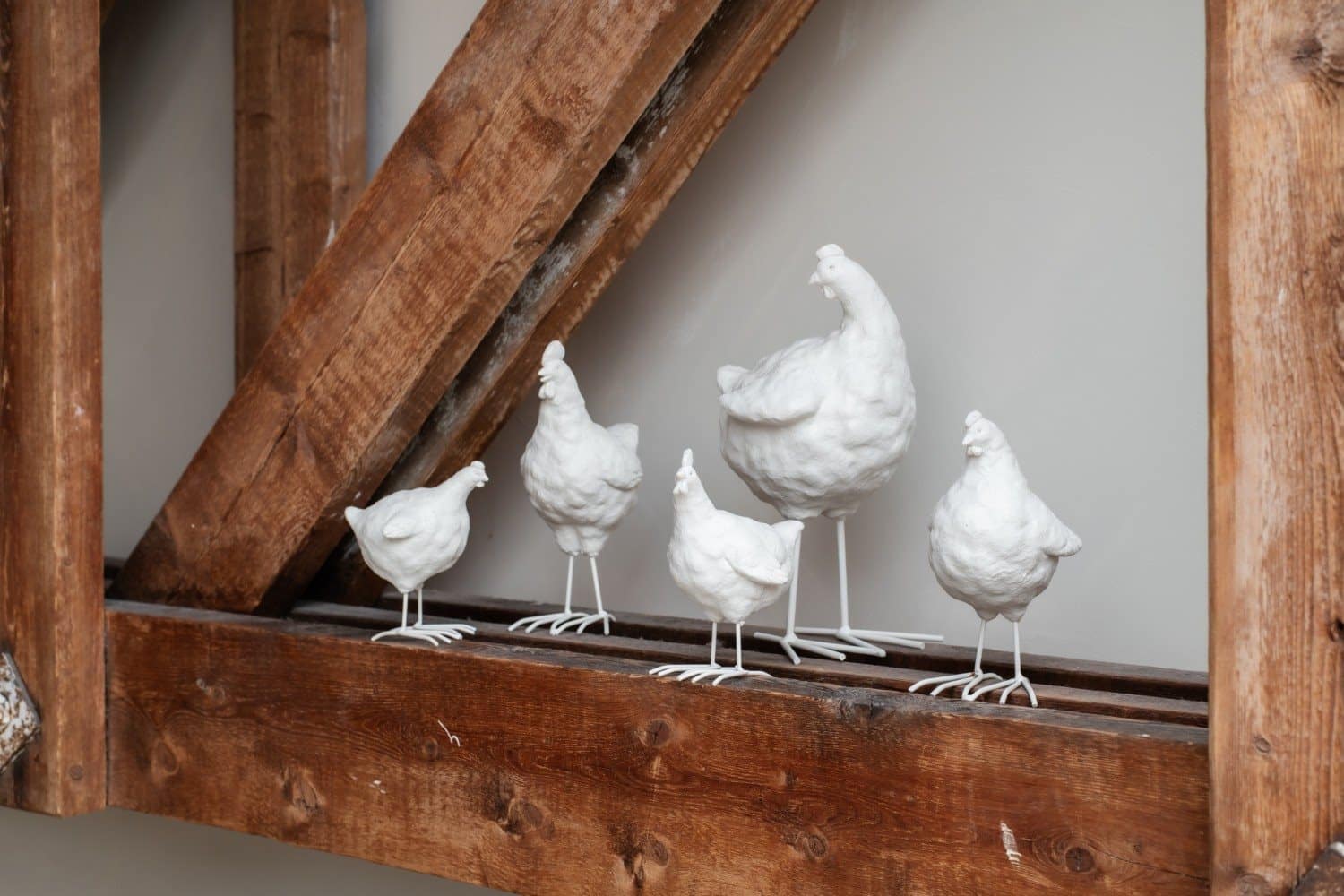 Deco chicken M ass 2