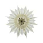 Plafondlamp paper star  rid L