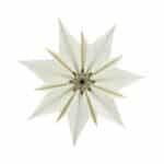 Plafondlamp paper star rud L